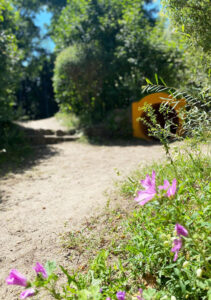 Garten - Tunnel und Weg zum Sportplatz